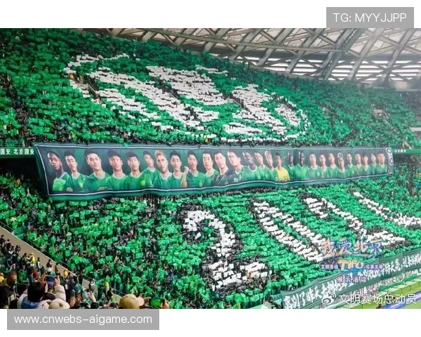 杭州主场球迷TIFO展示：巨幅国旗覆盖“大莲花”看台
