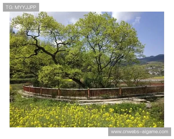 铜仁FBA联赛运营专业化，农特产展销与非遗产体验融入赛场